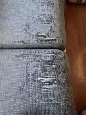 Shredded couch in patient room