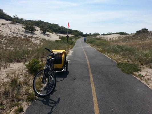 The bike rental from Gale force bike on the cape cod trail.