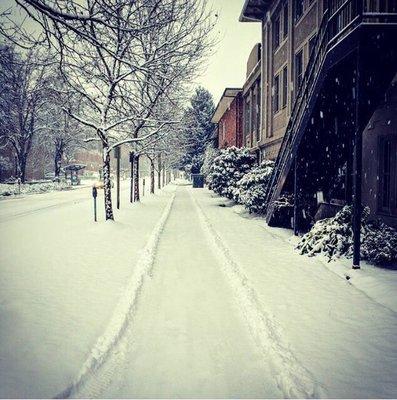 Campus has some gorgeous scenery from the snow storm last month.