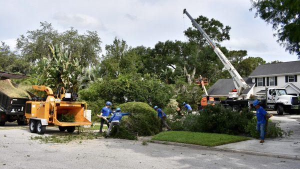 Certified Arborist on staff, Licensed & Insured. Free Estimates.