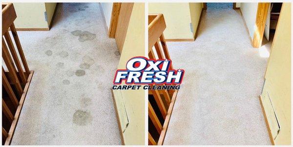 We can remove spots and stains from carpets and rugs.