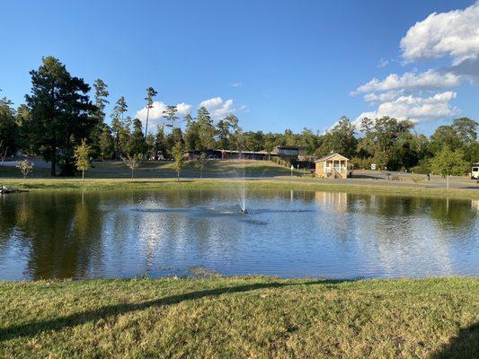 Beautiful pond with an overlook to sit and enjoy!!! Beautiful property!