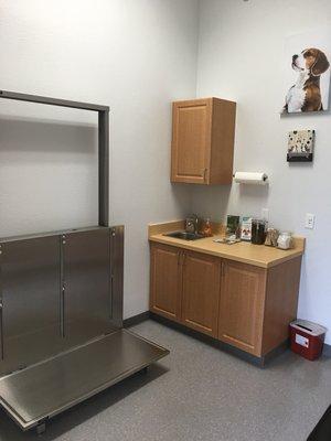 Dog exam room