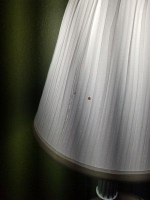 Blood on lamp shade