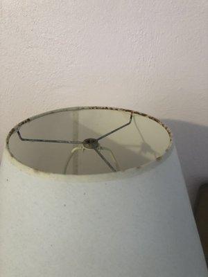 Moldy lampshade.