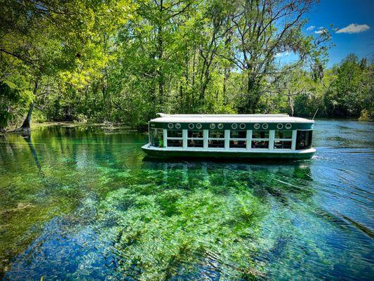 Glass Bottom Boat