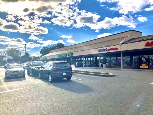 Dollar Tree storefront