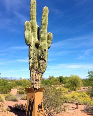 Thinking outside of the box in Arizona.