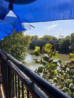 View from our table on back deck