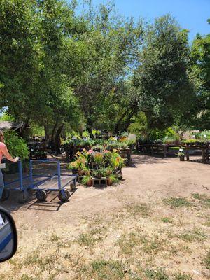 The main entrance to plants, 5 acres of plants and trees.