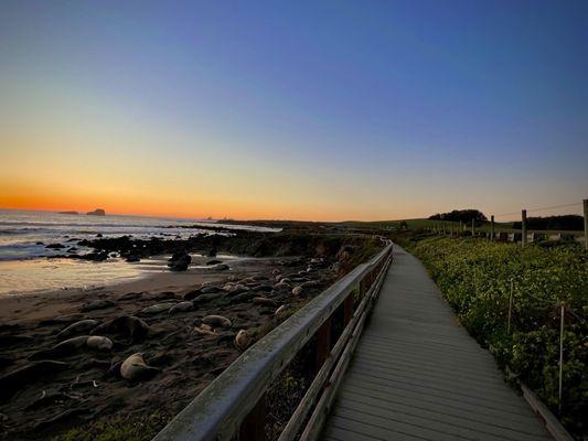 Sunset views from the vista point boardwalk!