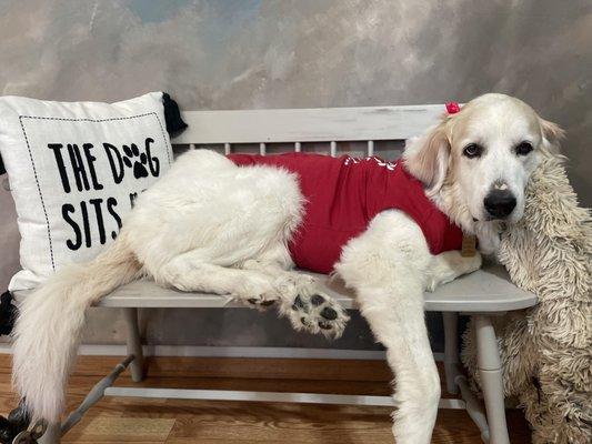 Glory loves to just hang out while mom shops for more treats.