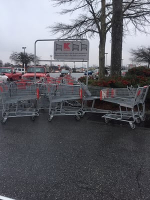 Dozens of shopping carts all over the lot. Pretty much sums up the mess inside.