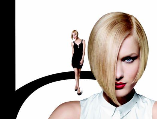 Goldwell alliance salon , Masters of color