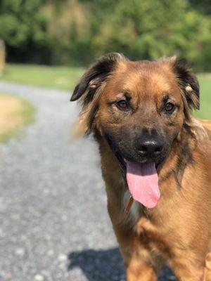 Benjamin loves this park!