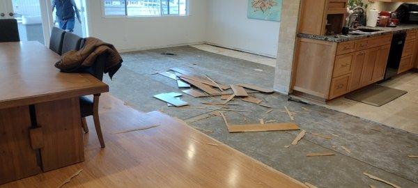 Preparing the area to install new flooring.