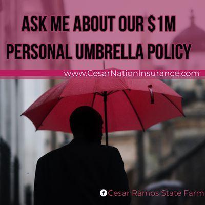 An affordable policy that provides $1,000,000 in personal liability coverage. Calm us for details. www.CesarNationInsurance.com