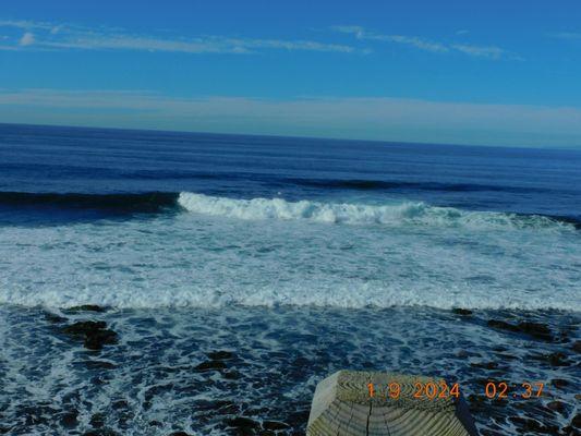 The great sea air and the crashing of the waves it was a perfect to see the park and get to see the many sea lions.