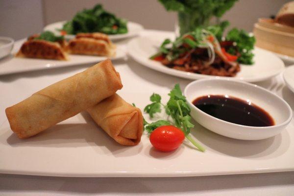 Vegetable Spring Rolls