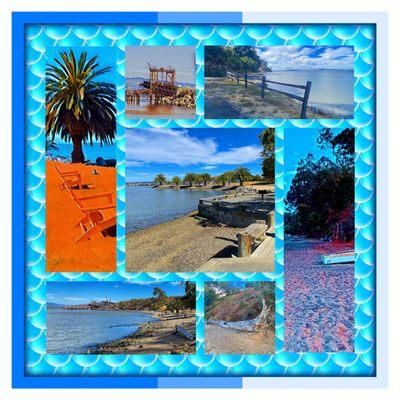 Montage of images from McNears Beach