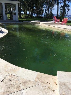 We will take your pool from Green to Clean