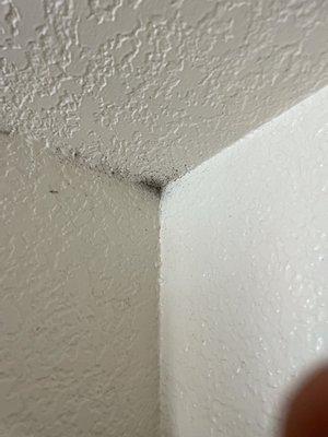 Mold/dirt on wall