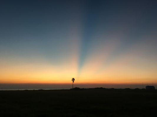 NAS Corpus Christi.... unfiltered sunrise !!!