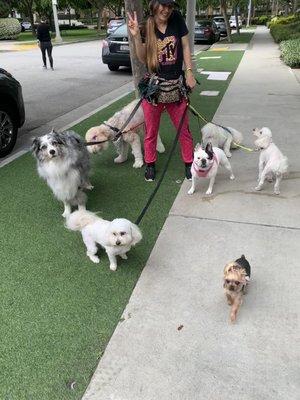 I was walking my dog Bella who was so excited to see her best girlfriend/nanny, Ariana, & join the pack