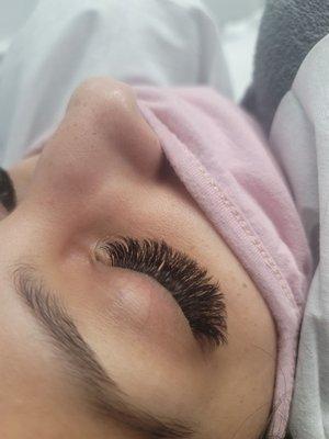 Volume Lashes