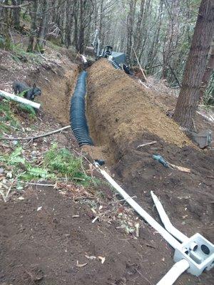 Sewer line + leach line backfill begins!