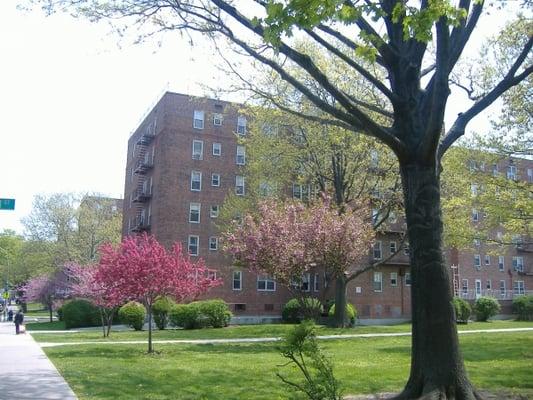 Lots of Green Space to enjoy outside!