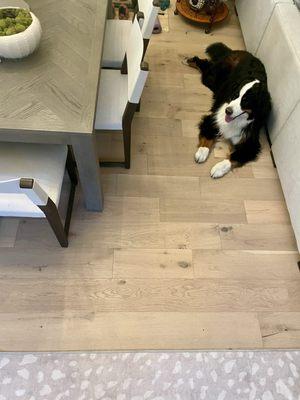 Resilient European white oak floors. Dog proof!