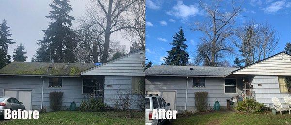 Roof Replacement in West Seattle