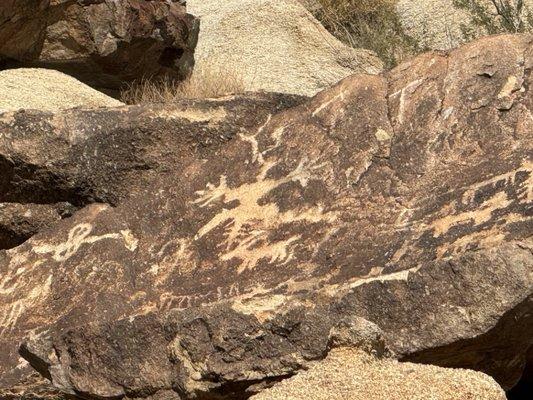 Petroglyphs and surrounding area