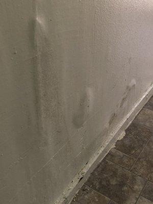 Exterior water damage plus mold.