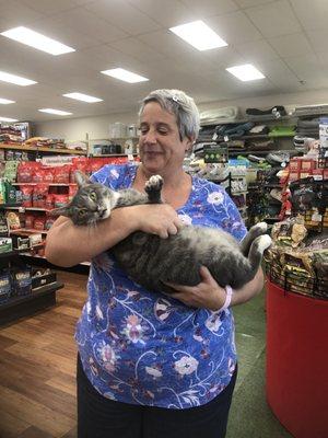 AWL volunteer Jess spending time and loving on one of our available for adoption cats Yates.