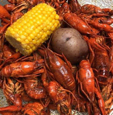 The best crawfish