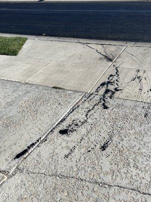 Tar drippings in my driveway from when Jeremiah sealed my street.