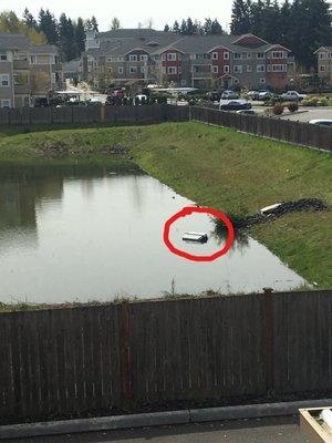 Meridian Greens Manager Denise Ras. was unaware of what needed cleaned up in this area. The dog kennel in the water must have been missed...