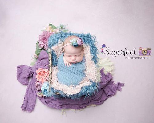 Baby girl newborn picture