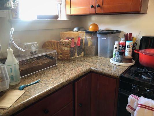 Kitchen, before