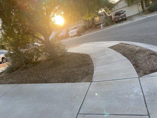 Front yard with tree and curbside area