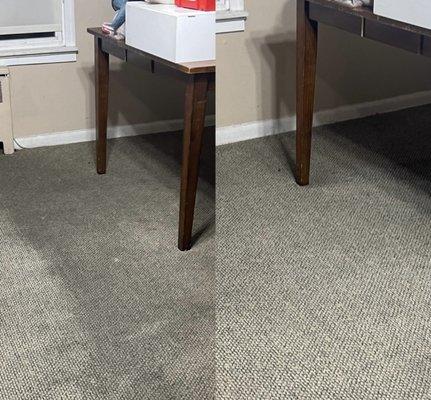 Carpet care NYC