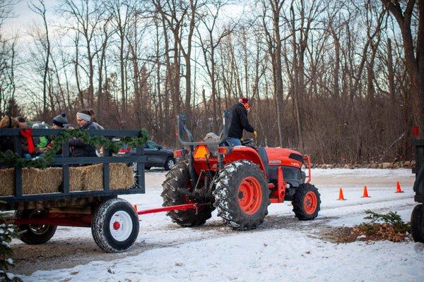 Trees For Less Nursery