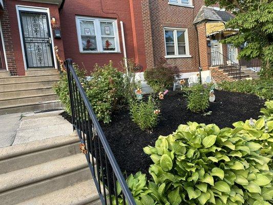 Mulch and weed removal