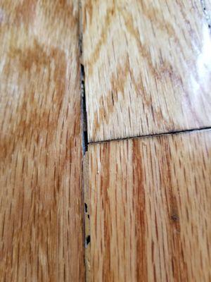 Viking Hardwood Floors