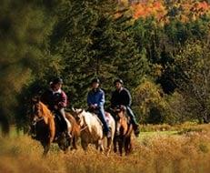 Enjoy Horseback Riding at the Pinegrove Ranch as you follow the trails and enjoy the beautiful views.