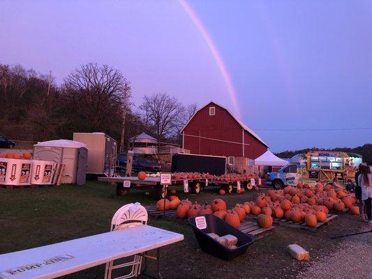 Rainbow over the farm