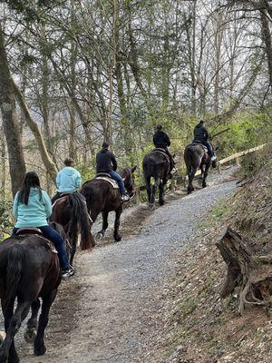 Rocky horseback riding