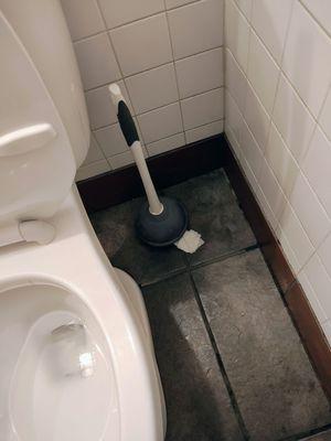 Toilet paper stuck to the plunger